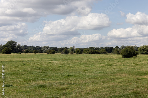 church tower in trees
