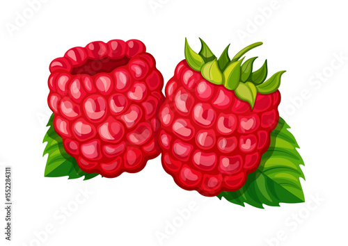 Two sweet raspberries in cartoon style. Vector illustration of ripe, juicy raspberries with leaves isolated on white background. Healthy, vitamin berries. Seasonal berries.
