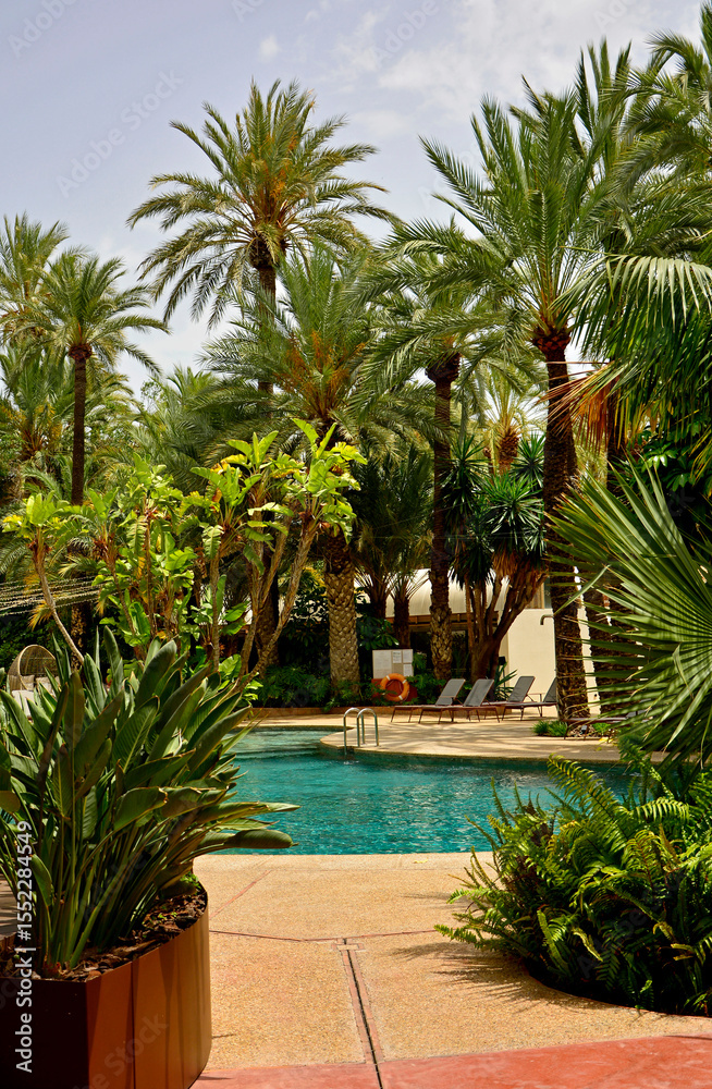 Fototapeta premium turkusowa woda w basenie, basen w kurorcie tropikalnym z palmami, leżaki nad basenem z turkusową wodą, turquoise water in the pool, pool in a tropical resort with palm trees, sun loungers by the pool 