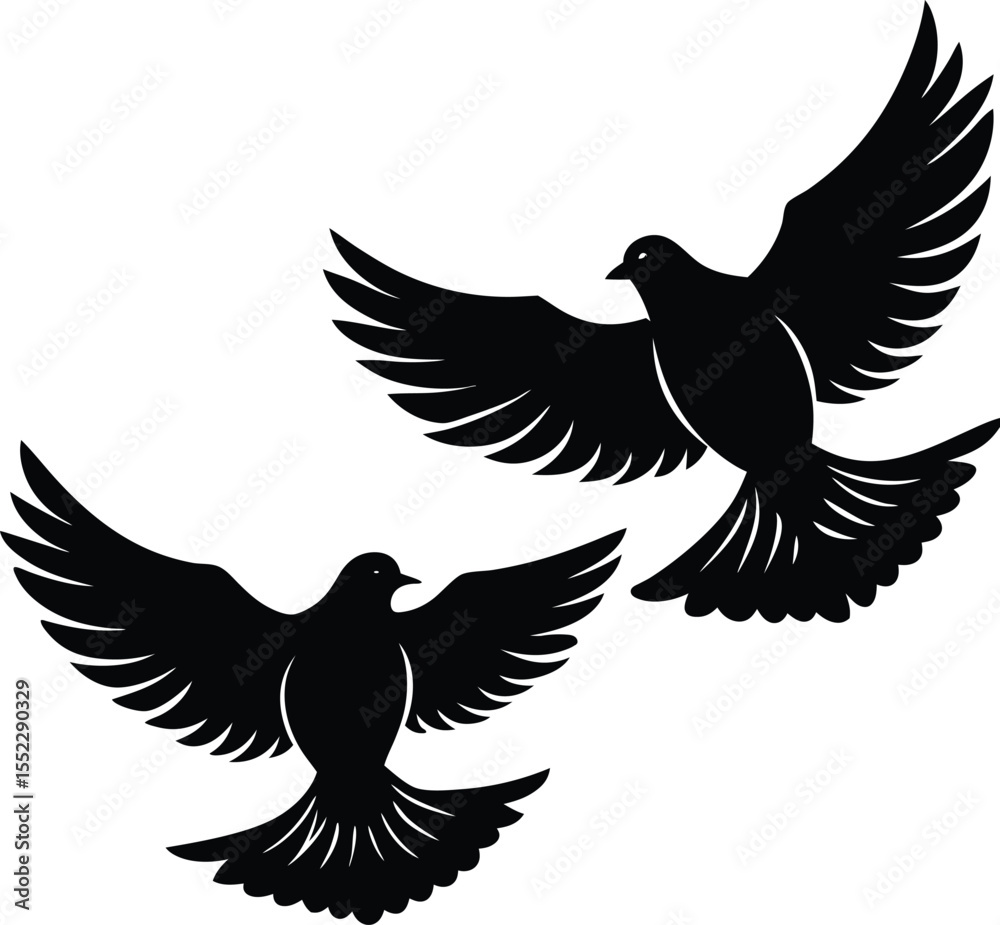 Obraz premium Adobe Illustrator Artwork