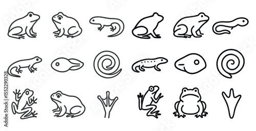 Series of frog drawings in black and white. The frogs are in various stages of development, from tadpole to adult