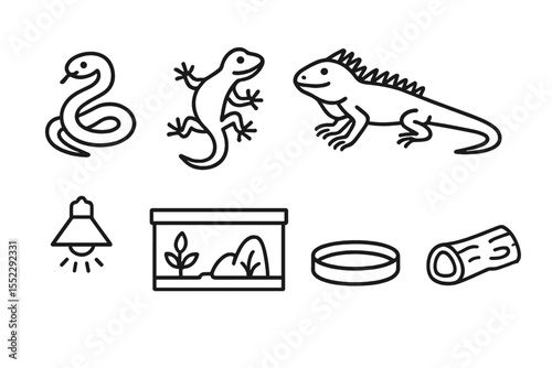 Reptile Icon Set. Line style icons of reptile pets: snake, gecko, iguana, bearded dragon. heat lamp, terrarium, water dish,