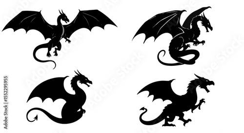 Dragon silhouettes show fantasy creatures with powerful wings in a mystical and legendary presentation.
