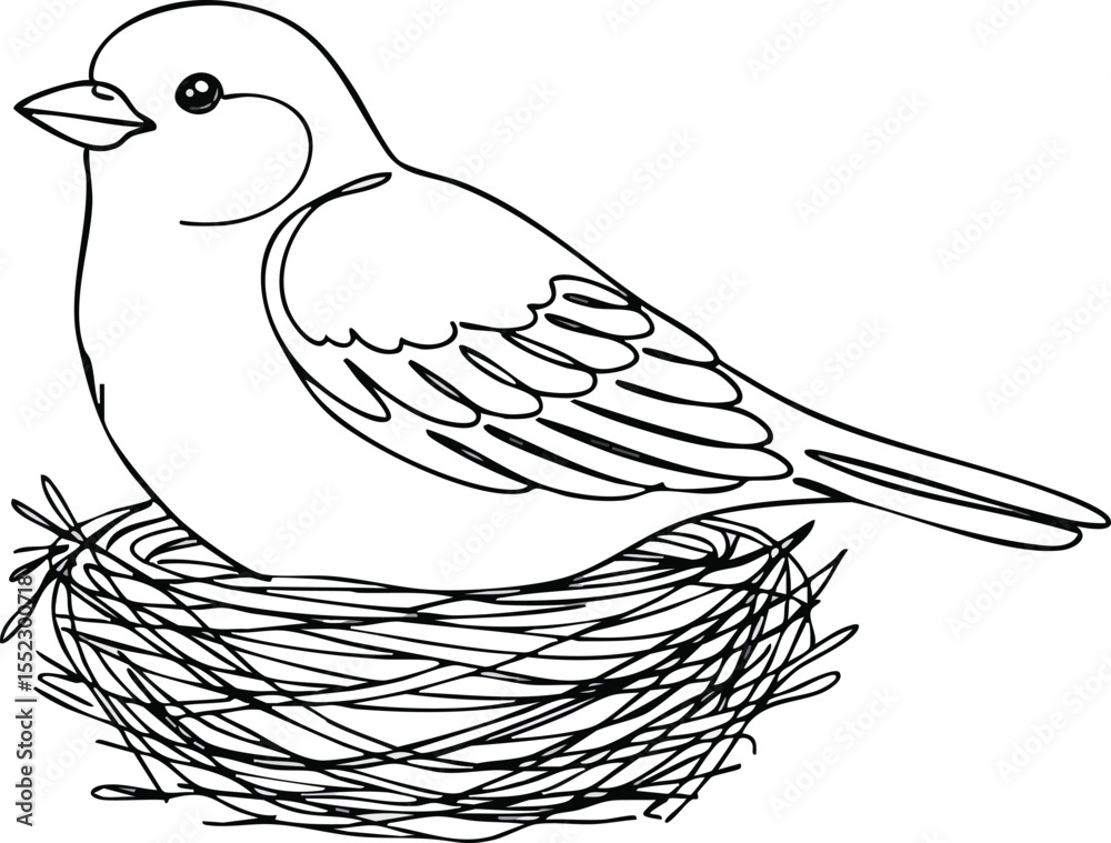 Fototapeta premium Small bird sitting on a nest line art vector illustration for nature and wildlife design projects 