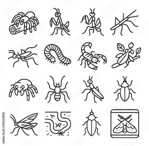 Exotic insect and arachnid pets icons in minimalistic line art : tarantula on log, praying mantis pose, orchid mantis, stick insect crawling, vinegaroon walking, giant millipede, scorpion with