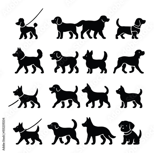 Different dog sizes and breeds icons in silhouette solid black-filled shapes with clean, simple : small poodle on leash, medium-sized beagle, large golden retriever, dachshund in harness, husky