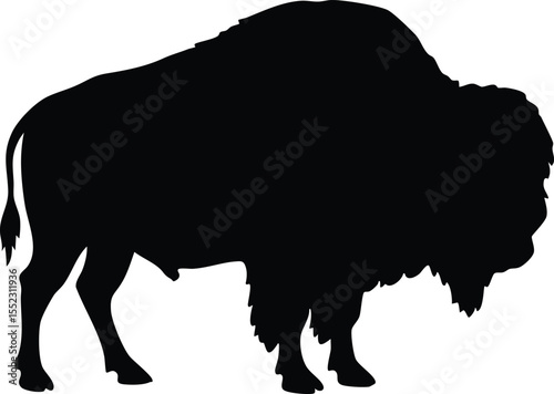 Bison silhouette vector illustration of American wild buffalo animal standing side view in black 