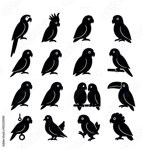 Tropical bird companions icons in silhouette solid black-filled shapes with clean, simple : macaw parrot, cockatoo with crest, sun conure, African grey parrot, ring-neck parakeet, green-cheeked