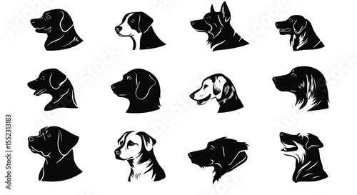 Various dog breeds shown as black and white graphics, great for use in educational materials and design elements.
