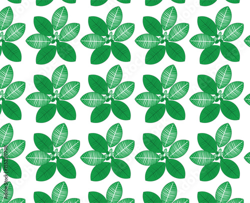 Seamless green shamrock and clover pattern background for St Patrick holiday design