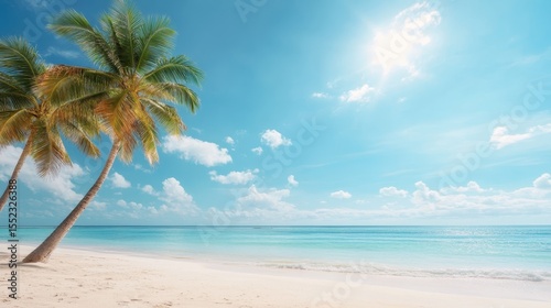 A picturesque scene of palm trees swaying gently in the breeze, framing a sunny beach view with crystal clear waters, invoking feelings of relaxation and tropical escape.