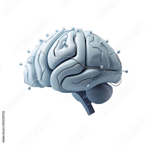 Human brain model for medical research and neuroscience study with neural connections and brain activity
