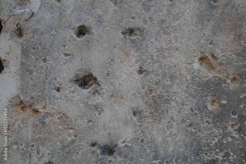 An abstract close-up photograph of a grey surface heavily scarred with bullet and shrapnel holes from the Second World War in Berlin, Germany.