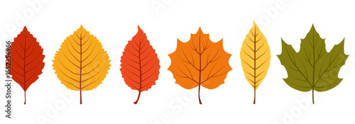 Set of hand-drawn autumn leaves. Botanical vector elements for seasonal design