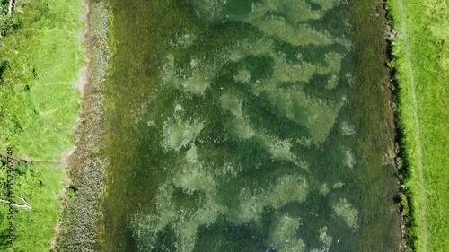A river flows in a field. Clear river, drone shot.
