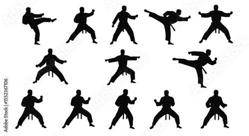 Various martial arts techniques show silhouettes of practitioners demonstrating karate moves and stances