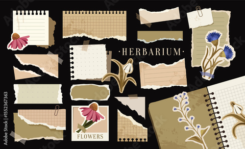 Vintage Torn Papers Set. Aesthetic stickers for scrapbooking with retro notes, dried herbarium flowers and memo pages. Design elements for diary. Flat vector illustration isolated on background