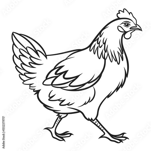 Simple and elegant black and white line drawing of a chicken walking forward