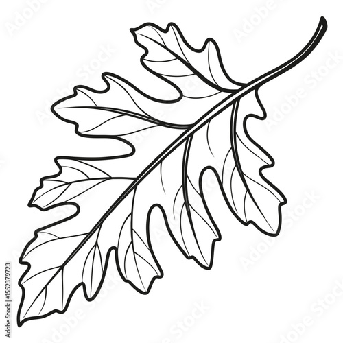 Simple black and white oak leaf illustration for designs and creative projects