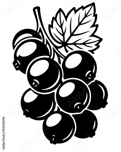 black_currant_54698798798.eps