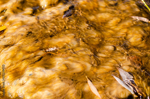Brown leaves on a puddle