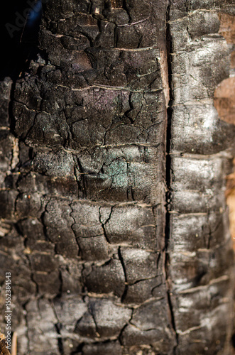 Texture of a burnt tree trunk