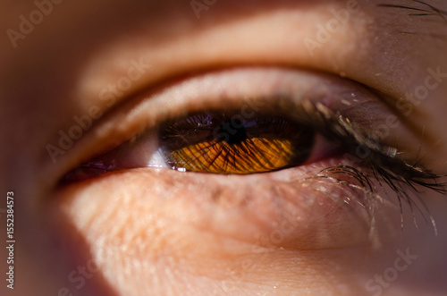 Close up of a brown eye