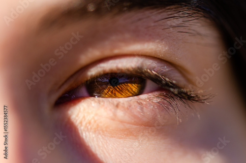 Fotografi Close up of a brown eye