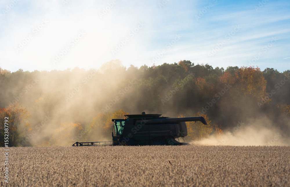 Fototapeta premium Combine harvester in a wheat field. Harvesting on rural farm. Combine harvester machinery. Agricultural Combine harvester at work. Rural landscape with a combine harvester. Work in the wheat fields.