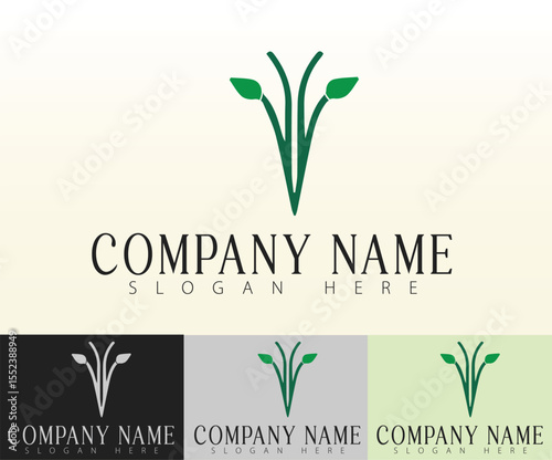 A clean, stylish logo ideal for health-conscious food companies.