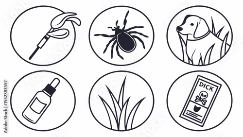 Tick Prevention Protecting Your Dog from Ticks and Tick-Borne Diseases