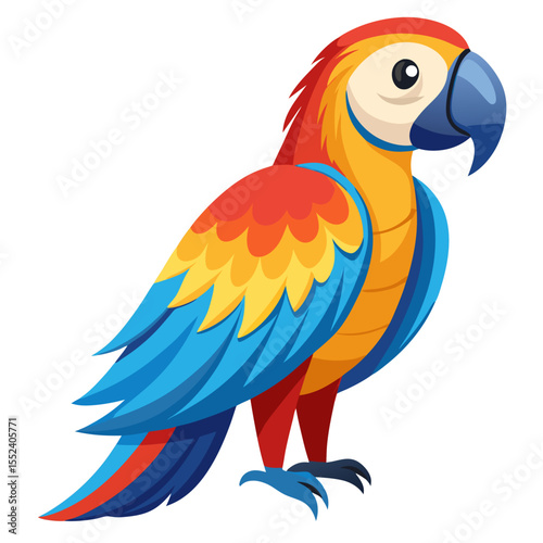 parrot 