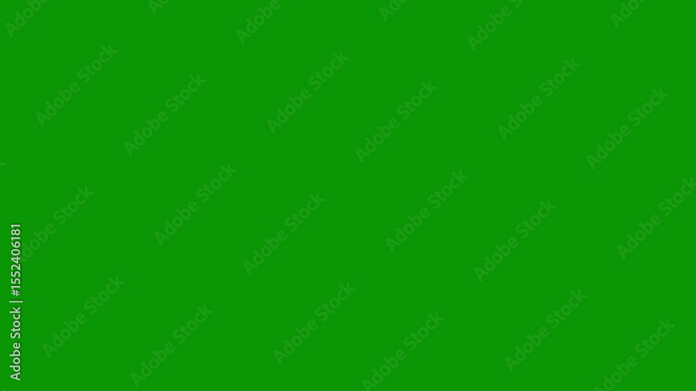 A green screen with white background and red flower on bunch of flowers teddy bears surrounded by christmas decorations group in pattern gingers it heart animated chromakey background
