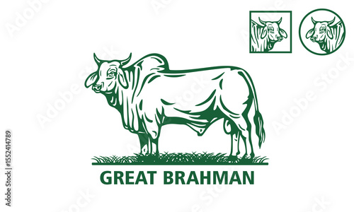 GREAT GREEN BRAHMAN CATTLE LOGO, best icon for company vector illustrations