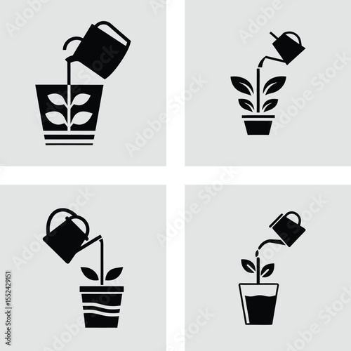 Watering Plants Simple Steps for Healthy Growth and Thriving Greenery