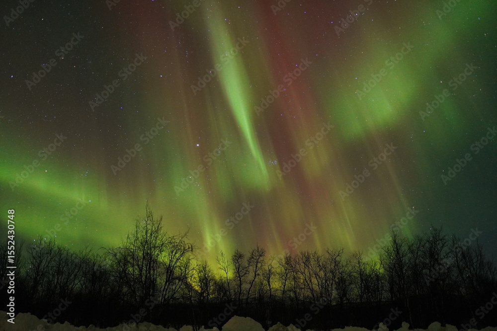 Fototapeta premium Aurora borealis Northern Lights fully covered the sky. Lapland amazing scenery