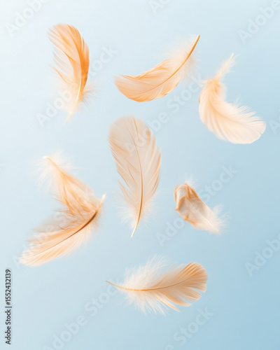 Soft light brown feathers floating gently on pale blue background, creating delicate and airy feeling of weightlessness and calmness