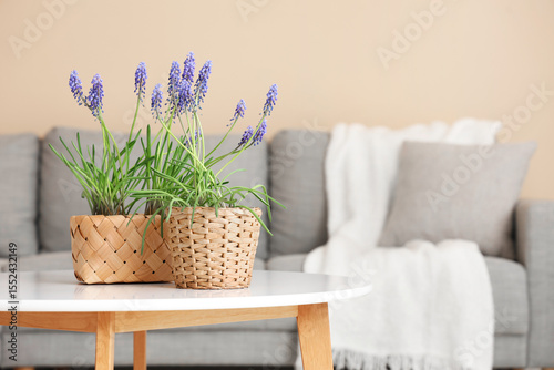 Wicker pots with beautiful ...