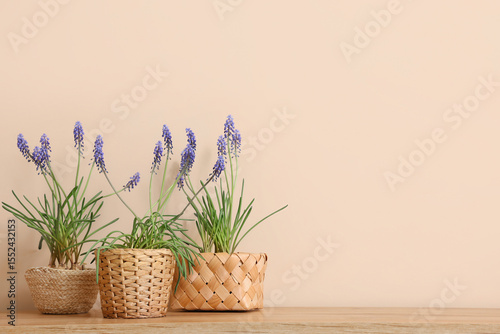 Wicker pots with beautiful ...