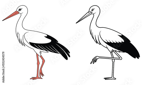 stork with baby