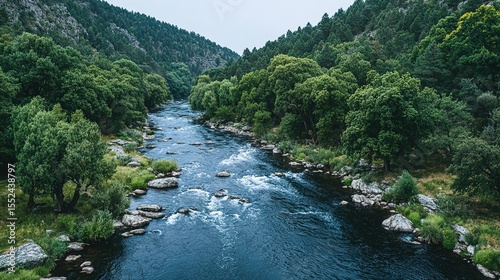 River winding through a lush green valley.