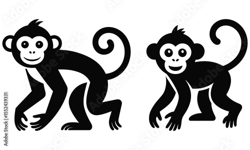 monkey