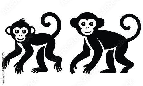 monkey 