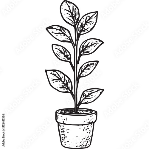 Hand-drawn black-and-white sketch of a tall potted plant with lush leaves, ideal for botanical art, indoor decor, and nature-inspired designs, perfect for prints and creative projects
