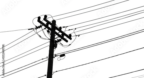 Isolated Electrical Power Lines Cable on Transparent Background