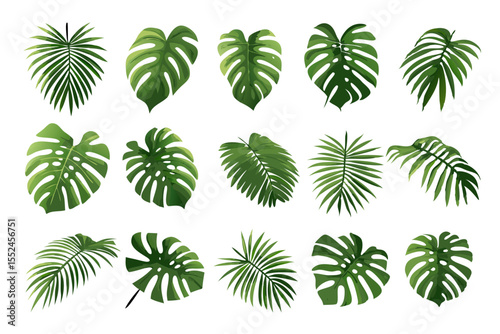 set of green leaves