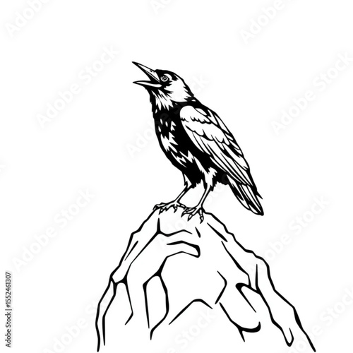 A raven cawing intelligence from a rocky perch