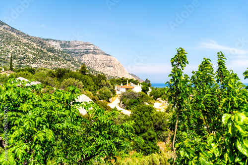 Magganitis town small Greek fishing village on Ikaria island Greece longevity blue zone, home house garden with mulberry fruit trees