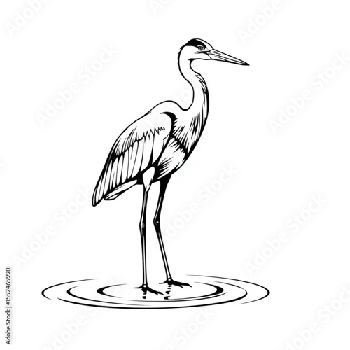 A great blue heron standing motionless in shallow ...