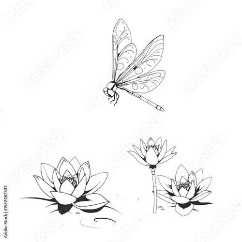 A dragonfly hovering delicately over a lily pond